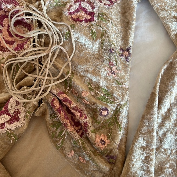 Vintage Velvet Floral Detailed Flared Long Sleeve Top - Picture 4 of 6